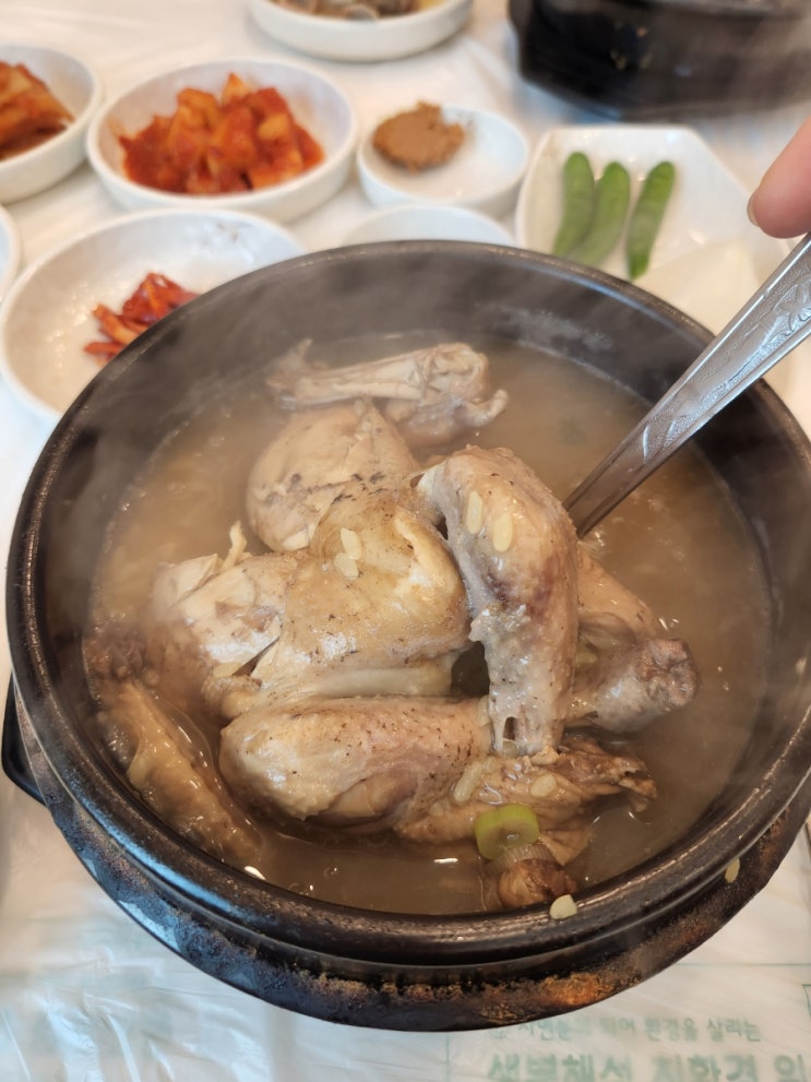  여수 죽림 옻닭 맛집!! 모장참옻닭~ 원기회복
