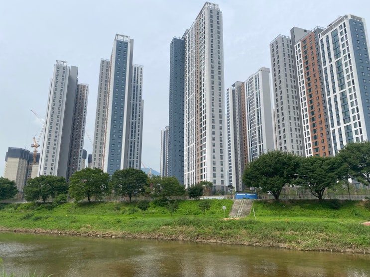  의정부역센트럴자이 입주  및 최고집 칼국수(서리태 냉 콩국수, 만두)