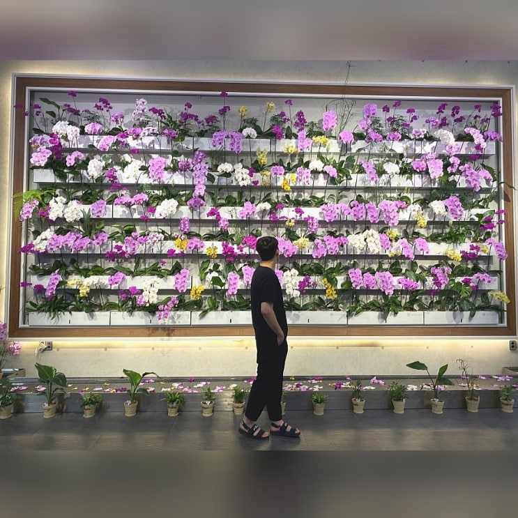  [울산]울산 여행 간절곶 카페/이쁜 꽃 포토존 대형카페 하이플로라!