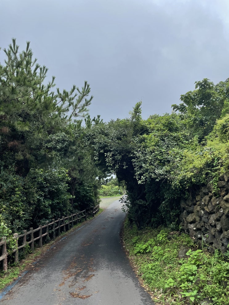  blog :: 주간일기 챌린지 / 제주도 여름휴가
