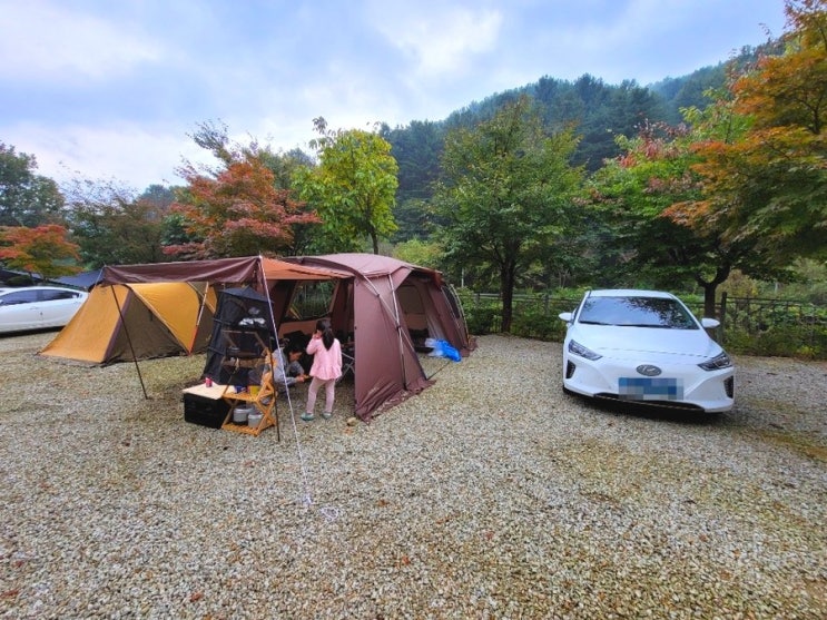  가평잣나무와 맑은공기 가득한 해피펜션캠핑장