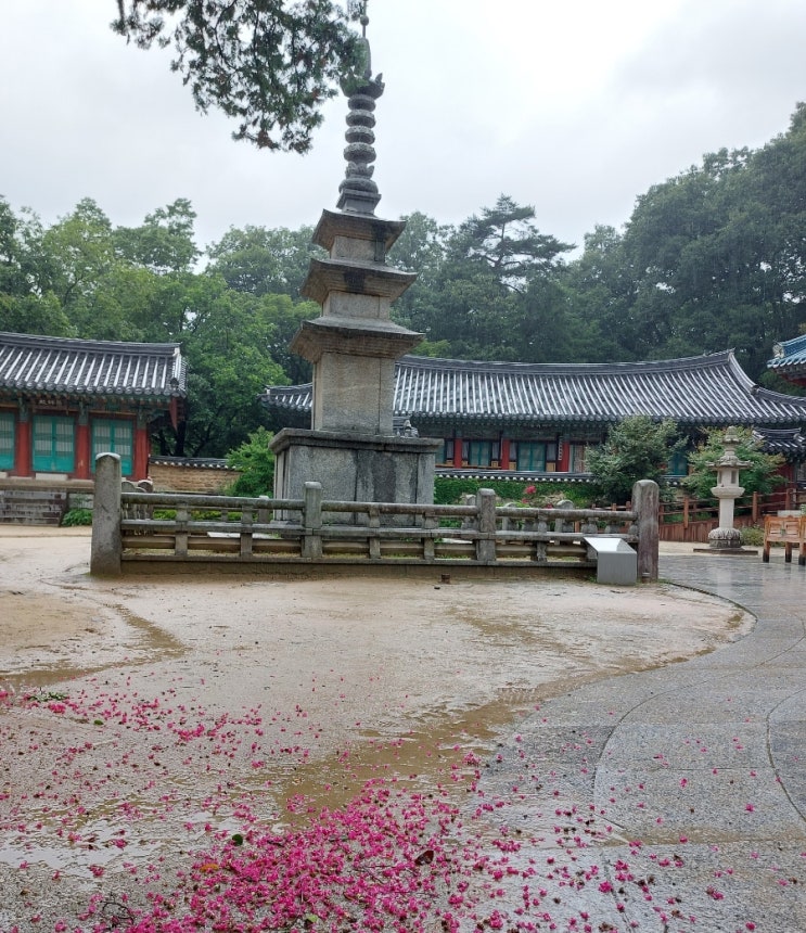 경북여행지 김천 직지사 직지문화공원 김천관광지 경북여행지 김천 직지사 직지문화공원 김천관광지