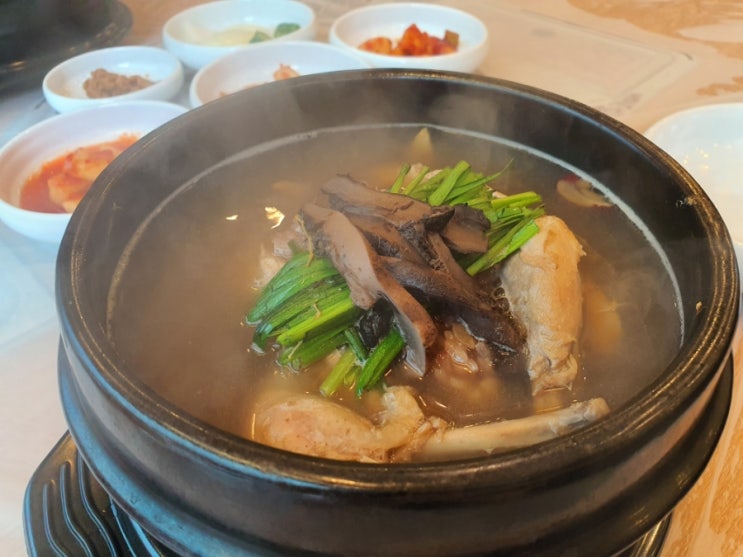  기와집 능이백숙삼계탕 해천탕 진국일세