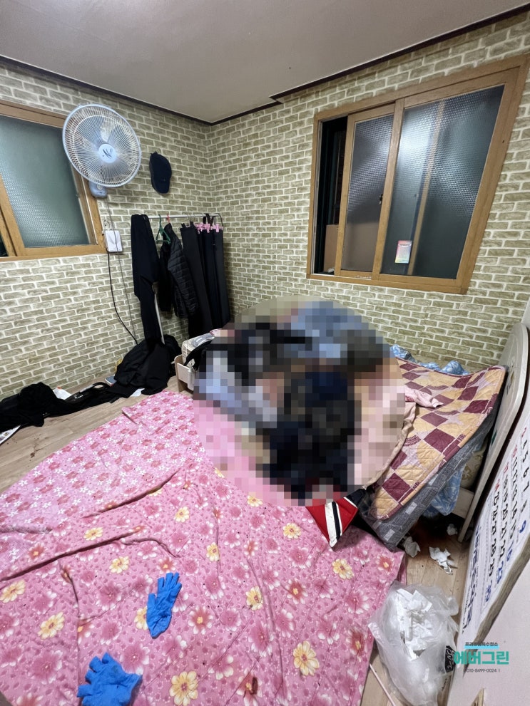 서울 동대문구 이문동 사망현장  반지하 고독사 특수청소 에버그린