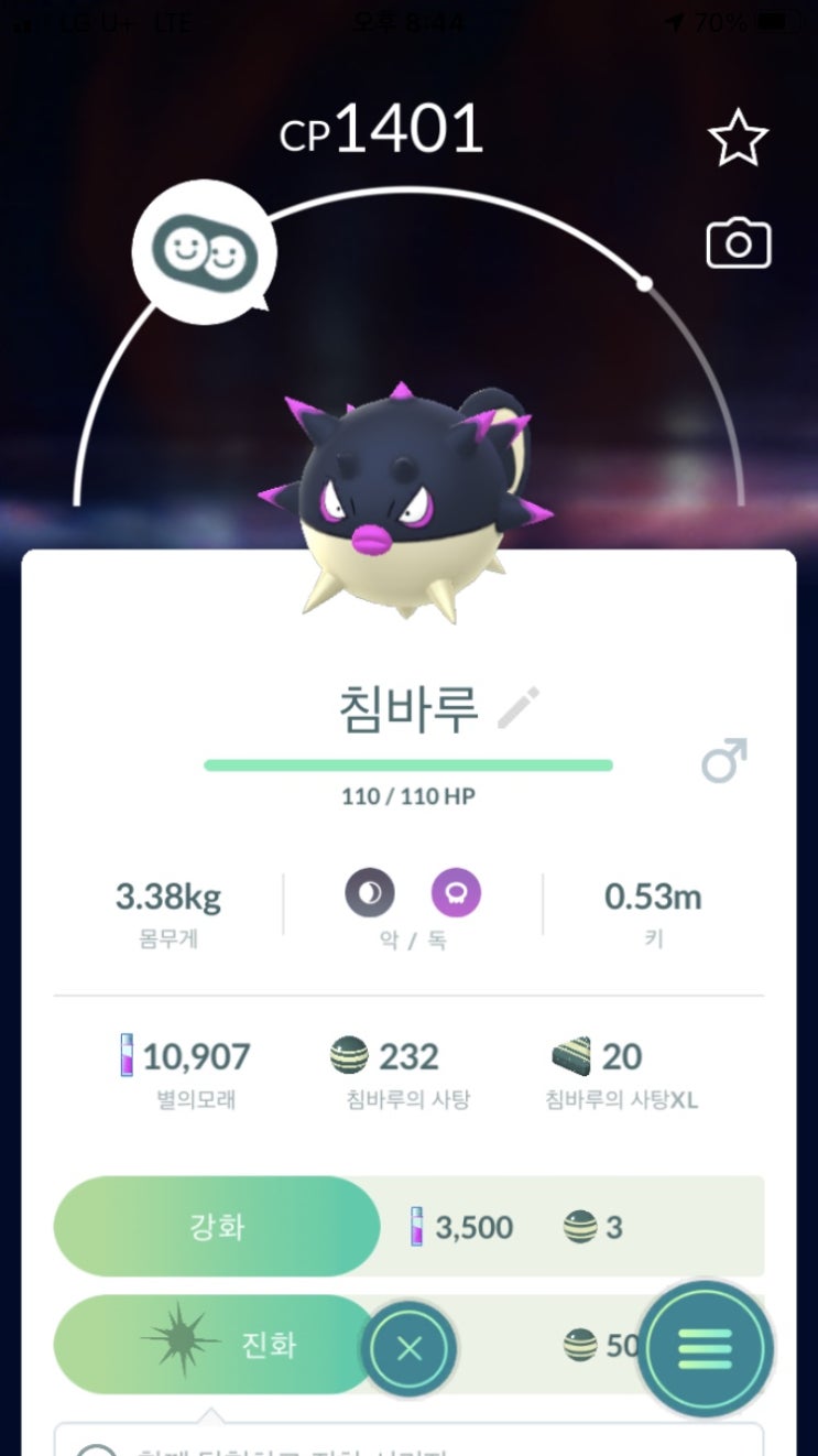  침바루, 장침바루