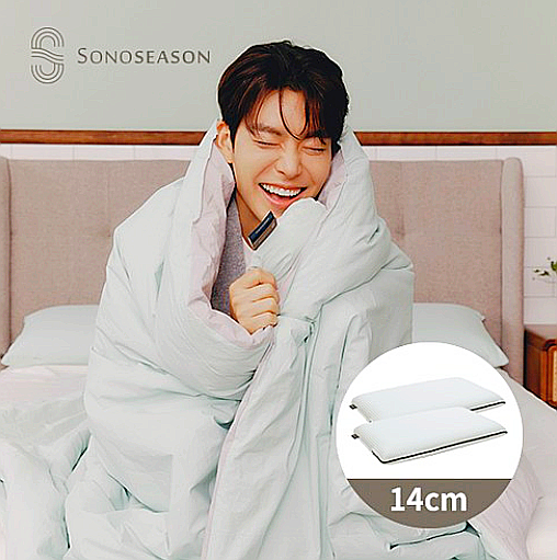  대명소노시즌 기능성 메모리폼 필로우 어드밴스