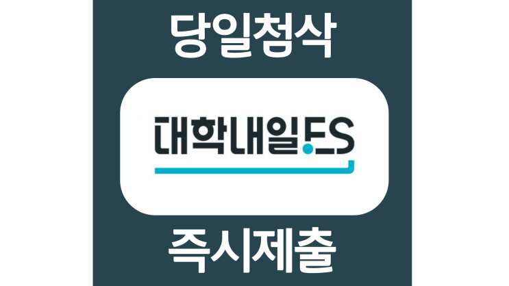 대학내일es 신입 경력 자소서항목 자기소개서 문항 작성방법 첨삭 대필 대학내일es 신입 경력 자소서항목 자기소개서 문항 작성방법 첨삭 대필