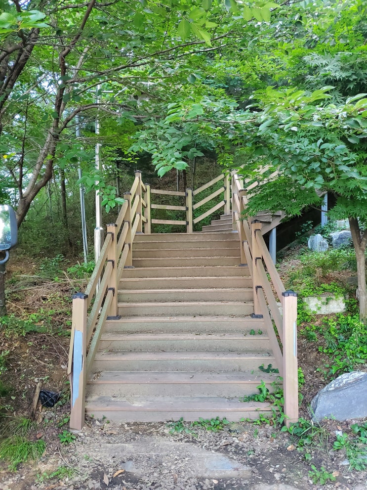 인천 동네 구경 수봉공원