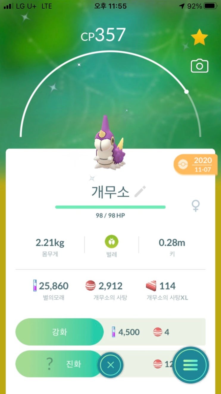  개무소 이로치 진화(암컷)