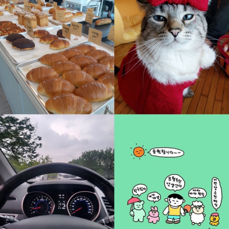  환승연애 과몰입러...나야나 초보운전 일주일차c
