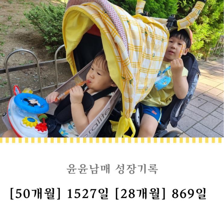  1527일 869일 : 따사로운 여름날 너의 미소