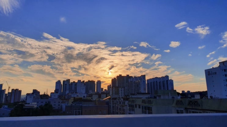  8월의 첫주