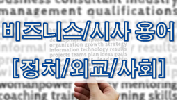  비즈니스/시사 용어 - 정치/외교/사회