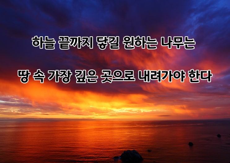  니체 명언 모음 - 나를 일으키는 힘