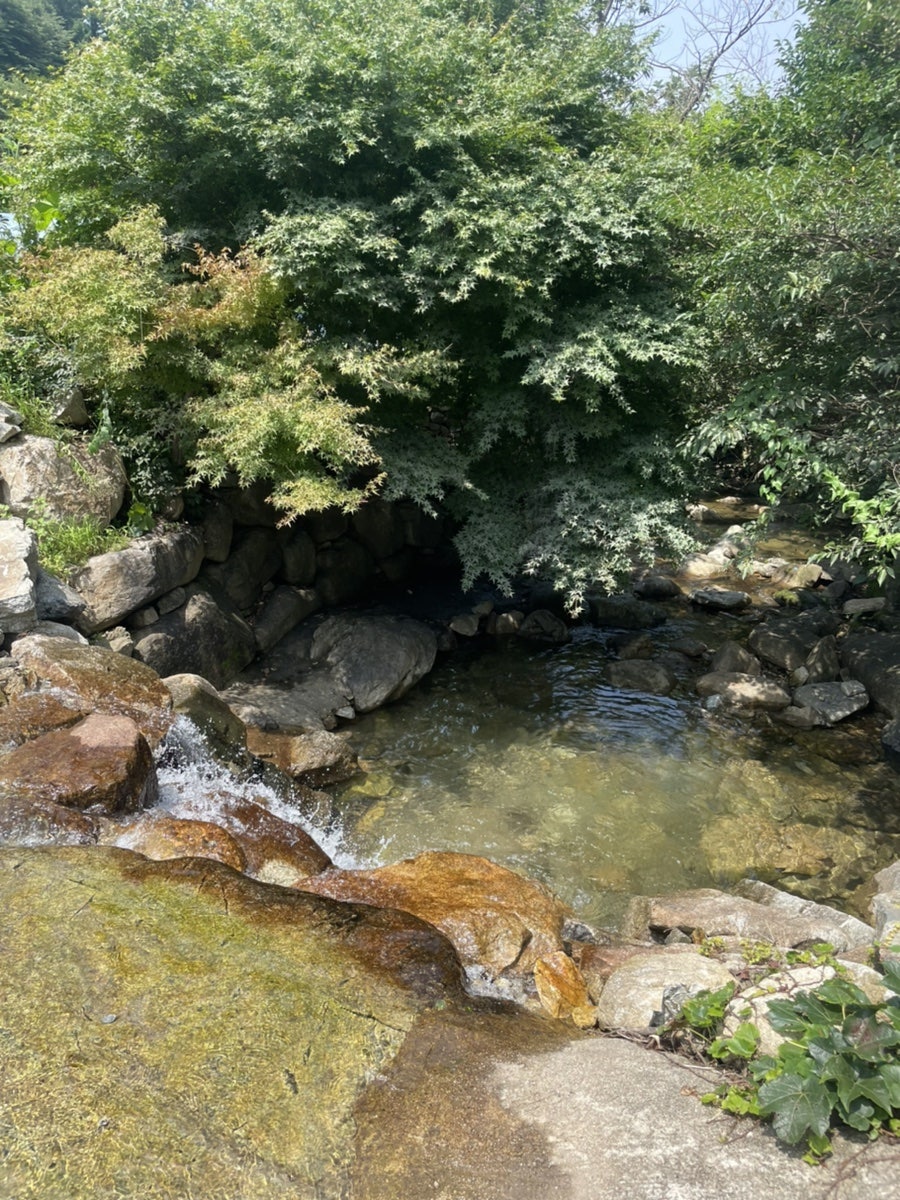 계룡산등산로계곡펜션 사진 3