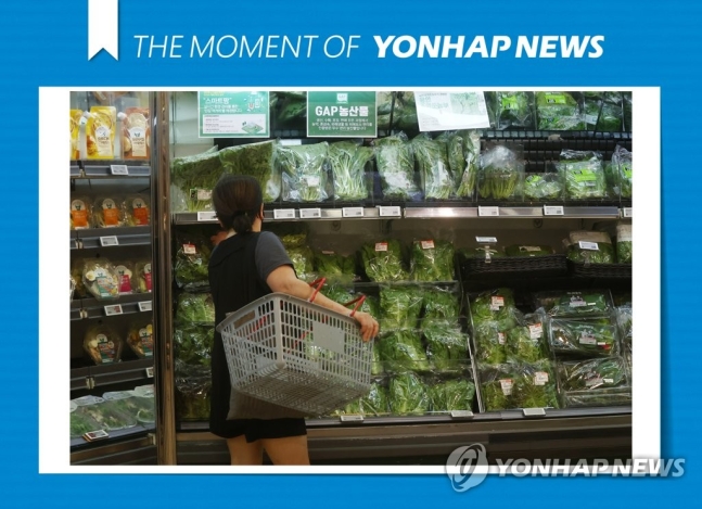추석 앞두고 밥상물가 비상…식용유 56%↑·밀가루 36%↑ 추석 앞두고 밥상물가 비상…식용유 56%↑·밀가루 36%↑