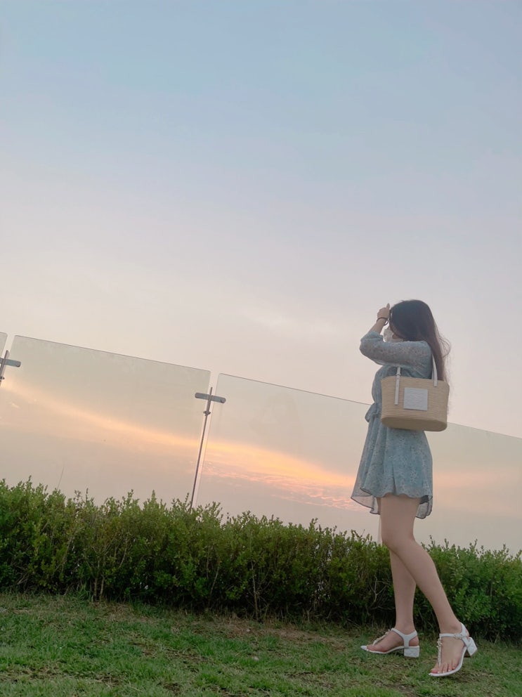  8월 첫 번째 주간일기