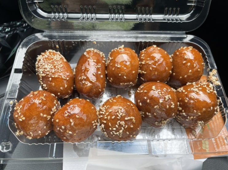  통영 <오미사 꿀빵, 노랑띠하늘소> 제발 집 가자! 쫌!