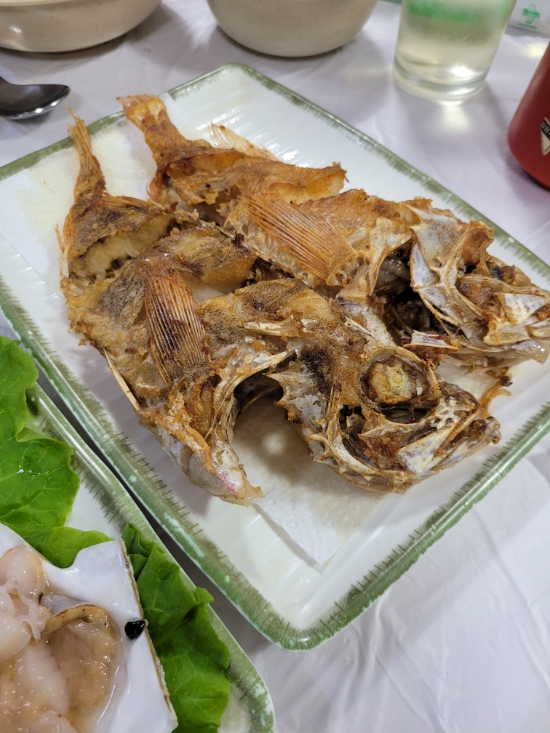  양양 남애항 잉꼬부부횟집