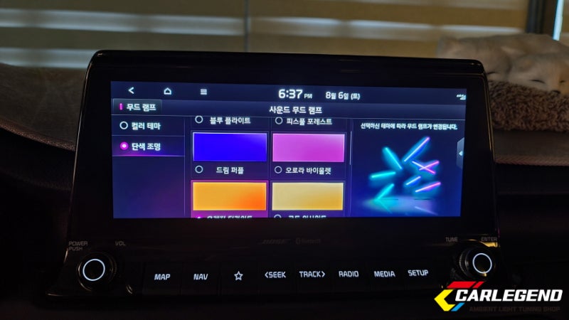 용인 기흥구 / 엠비언트 / 기아 / 셀토스