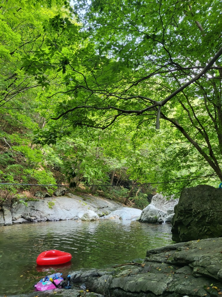  8월 첫 블챌 도전