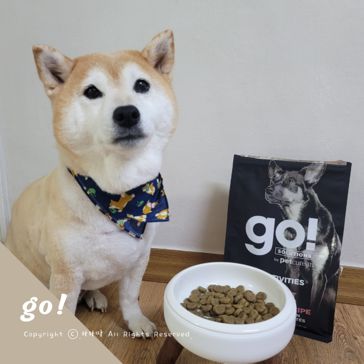 강아지 연어사료 lid go 사료샘플 신청해봐요