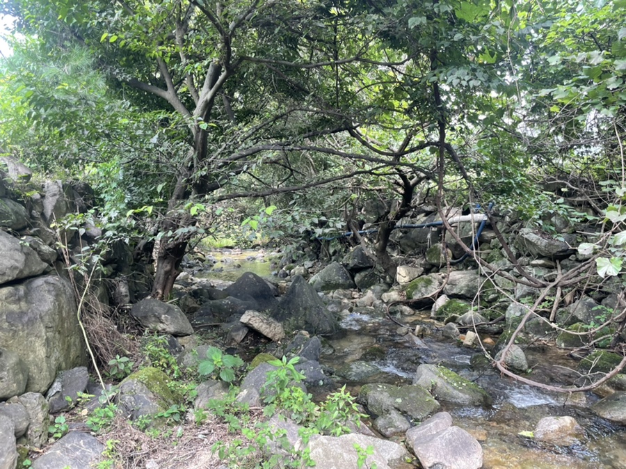 계룡산등산로계곡펜션 사진 5