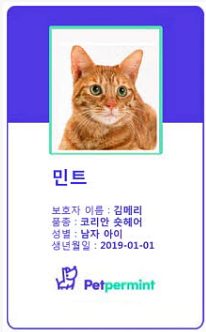 반려동물 보험시대…'묘르신’도, ‘멍감님’도 보험든다 반려동물 보험시대…'묘르신’도, ‘멍감님’도 보험든다