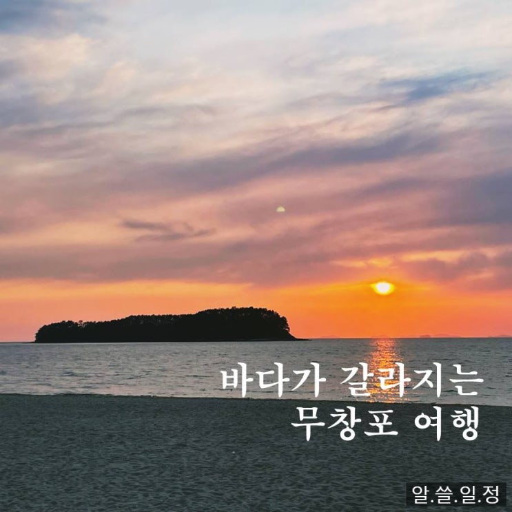  무창포 여행 중에 만난 대천 해물 삼합 맛집, 해물상회 (바다 갈라지는 시간 확인하세요!)