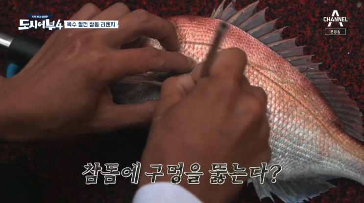  도시어부 시즌4 5화 영흥도 타이라바 참돔낚시 마이웨이호 하늘가든 바지락매운탕