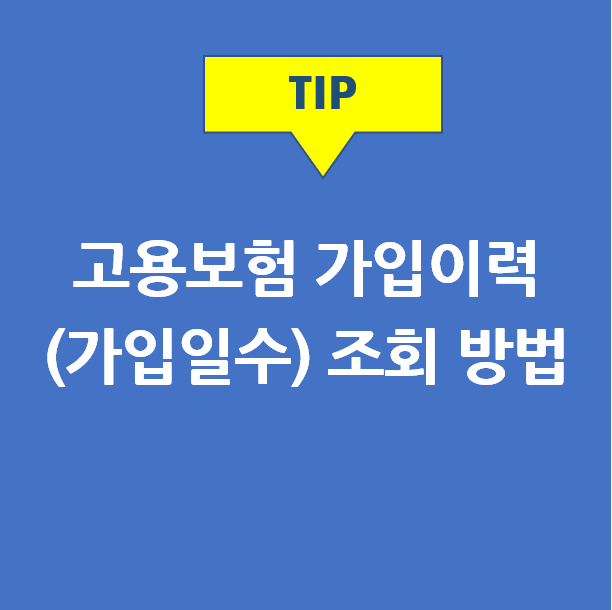  고용보험 가입이력 조회(가입일수/가입기간 확인) | 고용보험 피보험 자격이력내역서 조회/발급 등