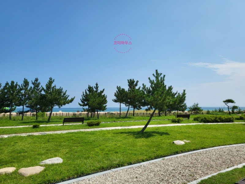 고성 차박 : 송지호 오토캠핑장