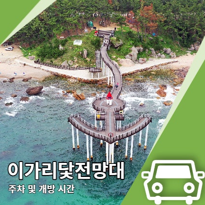 이가리 닻 전망대 주차 및 개방 시간 (드론영상)