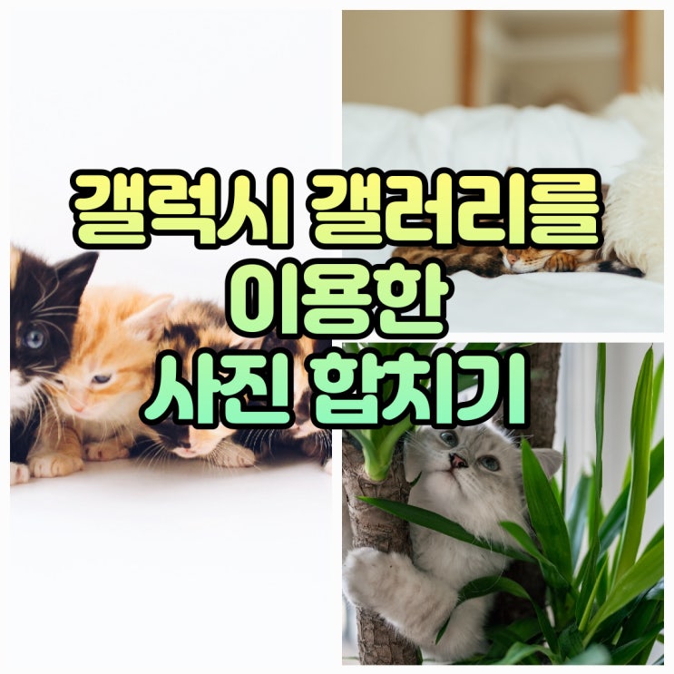  갤럭시 사진 합치기 - 어플없이 갤러리 콜라주로 사진 붙이기