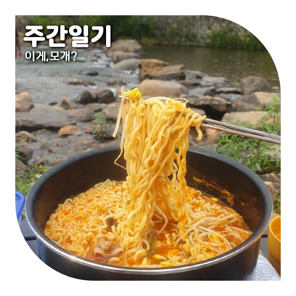  주간일기 I 이거저거 짬뽕된 이번주