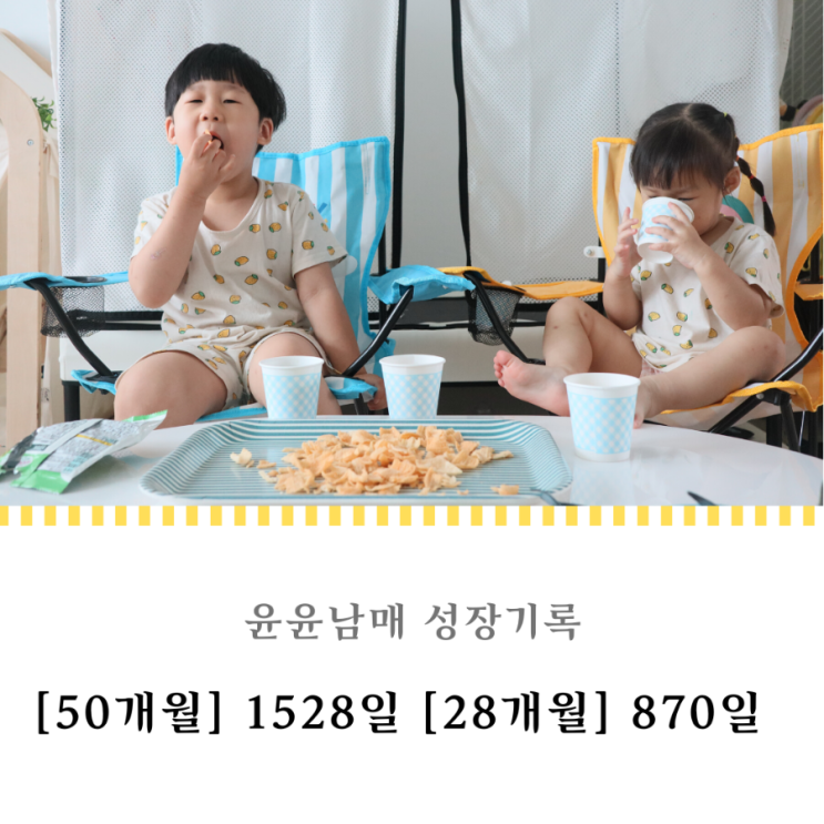  1528일 870일 : 까만 밤의 저녁 외식 시간