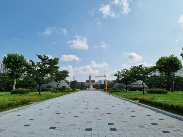 부천 중앙공원 여름 꽃 나들이 (능소화 / 코스모스) 부천 중앙공원 여름 꽃 나들이 (능소화 / 코스모스)