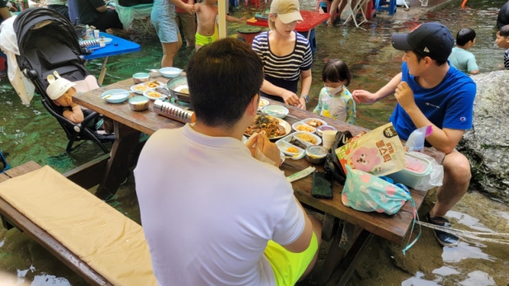  서울근교 계곡 발담그고 백숙 먹을수있는 축령산계곡가든 예약방법