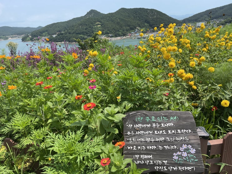  바다 위 비밀정원 쑥섬
