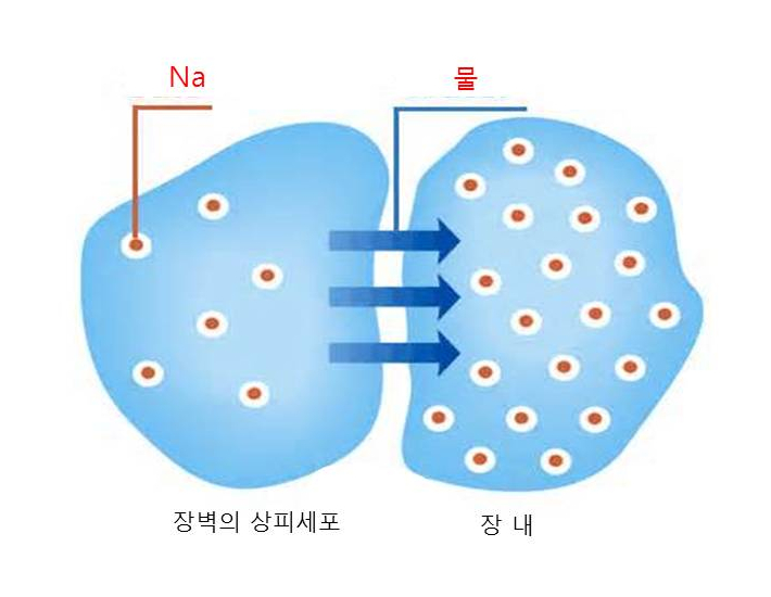  더운 날(열환경) 운동, 소금정제를 섭취하면 안되는 이유