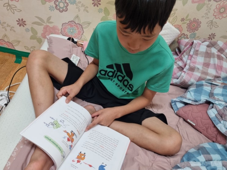 초등한국사, 조선시대가 궁금하다면 읽어보자