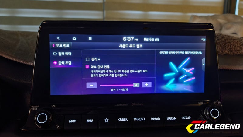 용인 기흥구 / 엠비언트 / 기아 / 셀토스