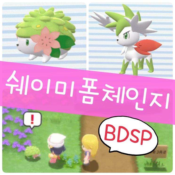  포켓몬스터 브다샤펄 공략 쉐이미 폼체인지 랜드폼 스카이폼