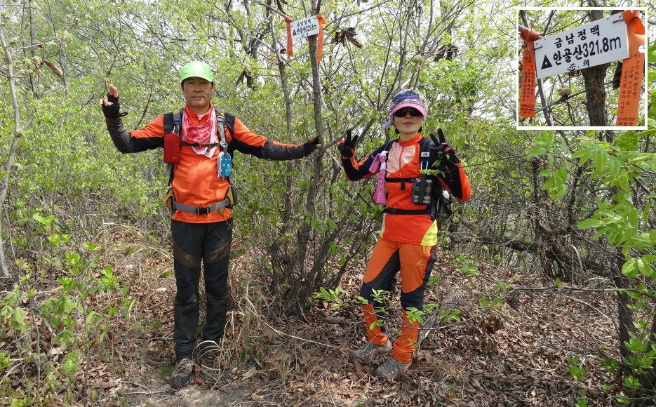 토골 사진 1