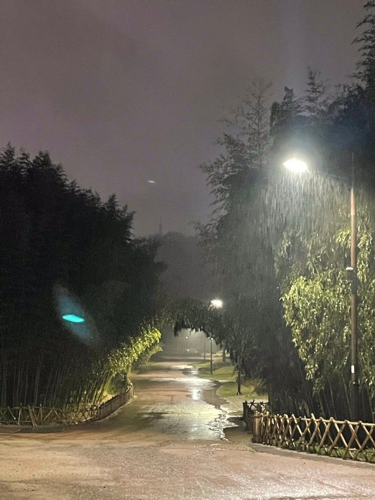  울산 1박2일 여행코스 DAY1 언양기와집불고기/ppl/태화강 국가정원
