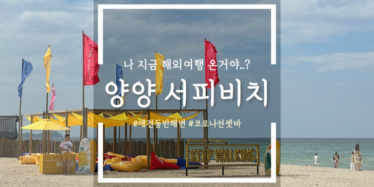 외국같은 양양 서피비치 - 애견 동반 가능 외국같은 양양 서피비치 - 애견 동반 가능