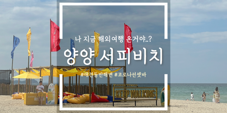 외국같은 양양 서피비치 - 애견 동반 가능