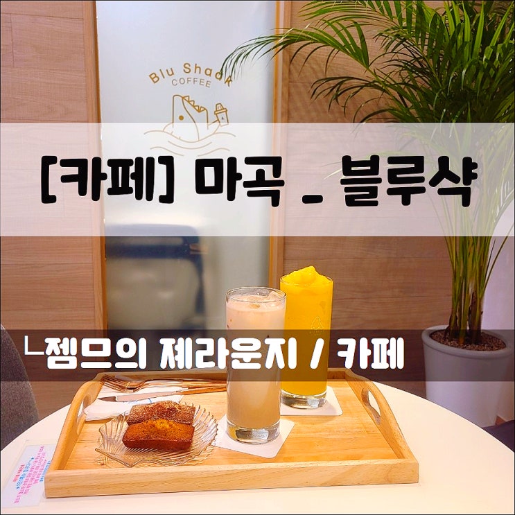  <마곡동 카페 / 블루샥> 맛있는 음료가 있는 마곡 신상 카페