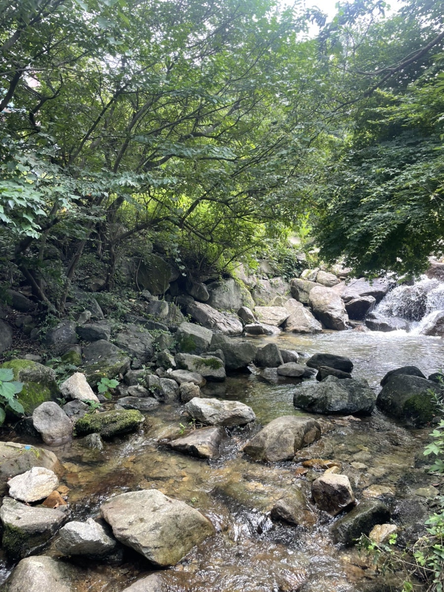 계룡산등산로계곡펜션 사진 4