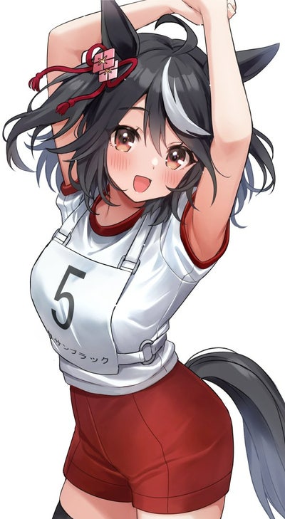무과금 유저를 위한 보편적인 우마무스메 육성론, 청인자와 A랭크를 목표로 무과금 유저를 위한 보편적인 우마무스메 육성론, 청인자와 A랭크를 목표로